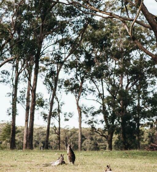 Дом 4 Спальни, Worrowing Jervis Bay