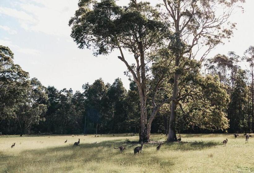 בית, 4 חדרי שינה, Worrowing Jervis Bay