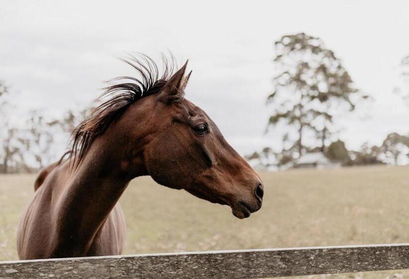 בית, 2 חדרי שינה, Worrowing Jervis Bay