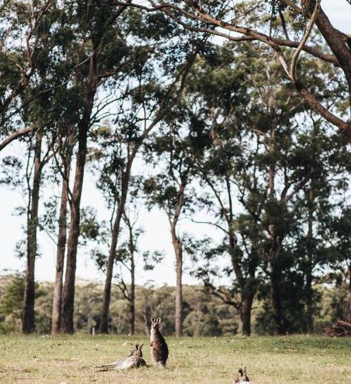 בית, 2 חדרי שינה, Worrowing Jervis Bay