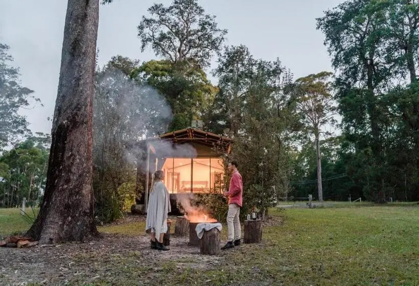 استودیوی استاندارد, Worrowing Jervis Bay