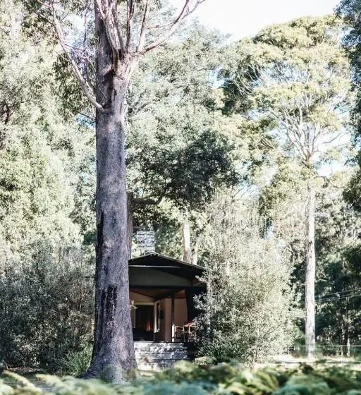 استودیوی استاندارد, Worrowing Jervis Bay