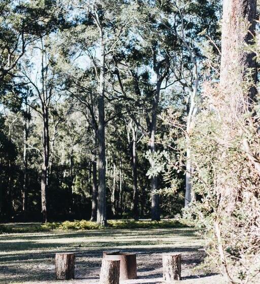 חדר סטודיו סטנדרד, Worrowing Jervis Bay