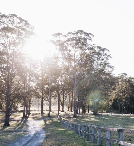Номер Deluxe, Worrowing Jervis Bay