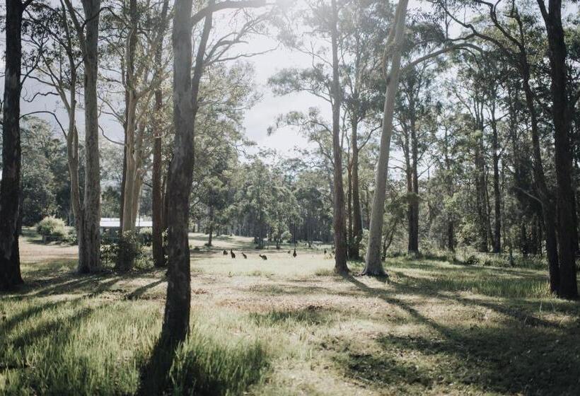 חדר סטודיו סטנדרד, Worrowing Jervis Bay