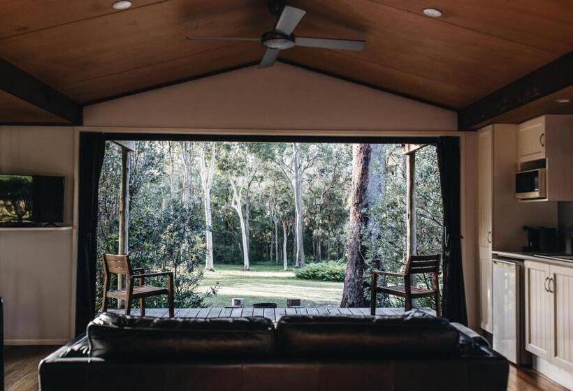 Студия Стандарт, Worrowing Jervis Bay