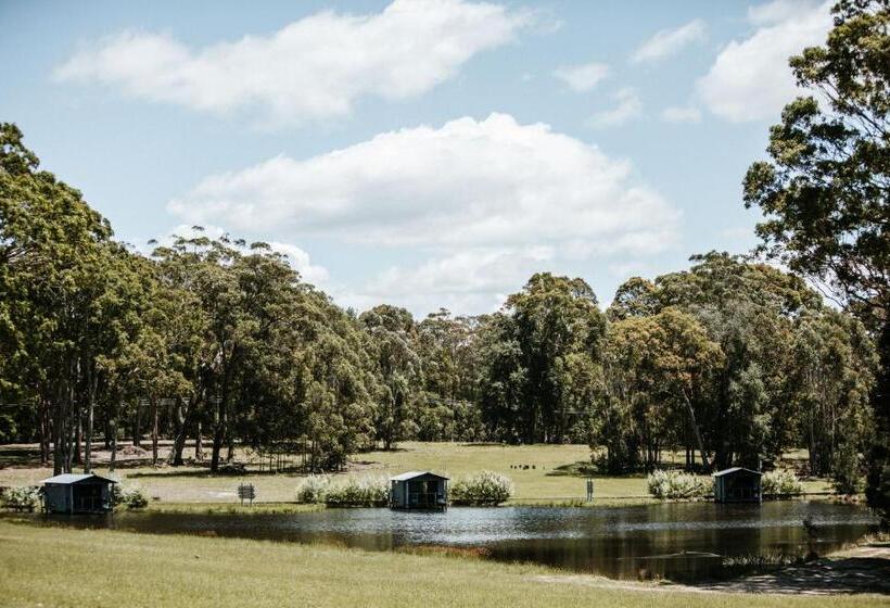 חדר סטודיו סטנדרד, Worrowing Jervis Bay