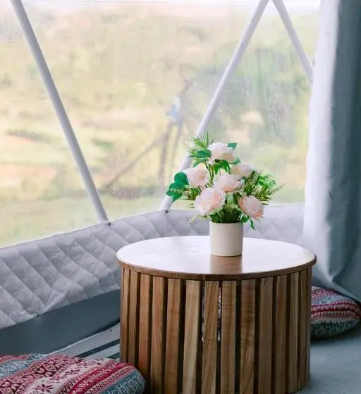 بانگلوی لوکس, Zin’s Homestay Pleiku
