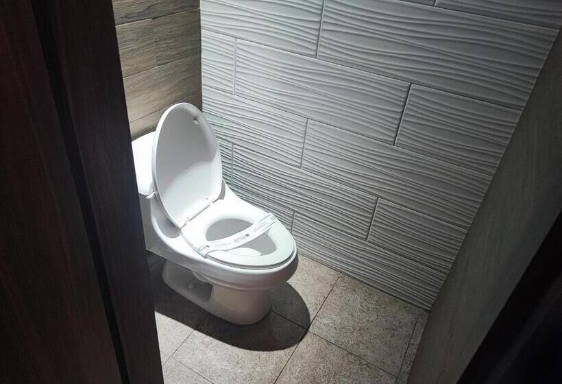 スタンダードルーム, Dubái