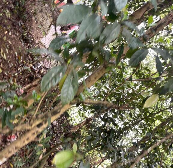 اتاق استاندارد با بالکن, Hương Giang