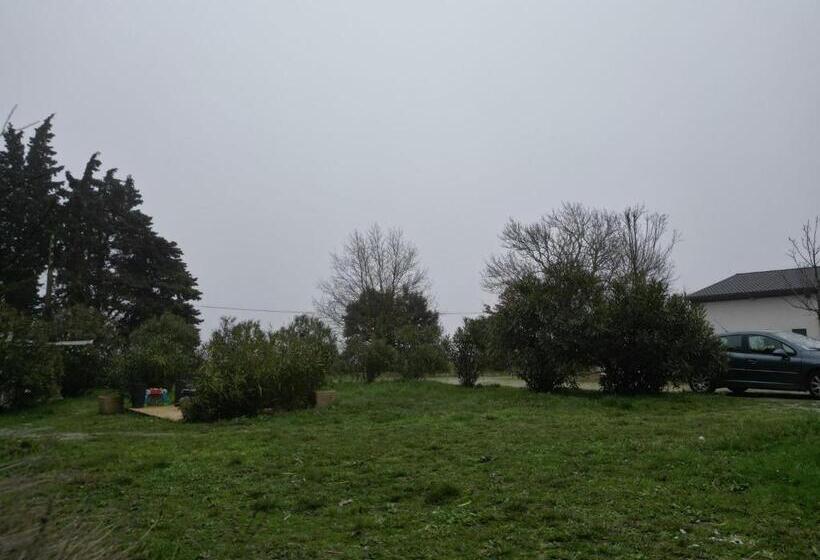 Кровать в Общей Комнате, Dortoirs 12per