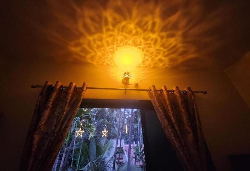 Chambre Familiale, The Comfort Zone