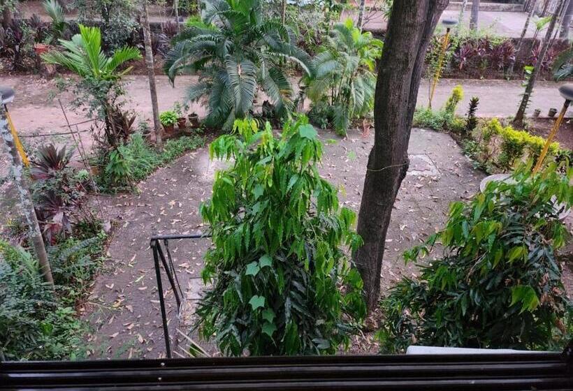 Chambre Familiale, The Comfort Zone