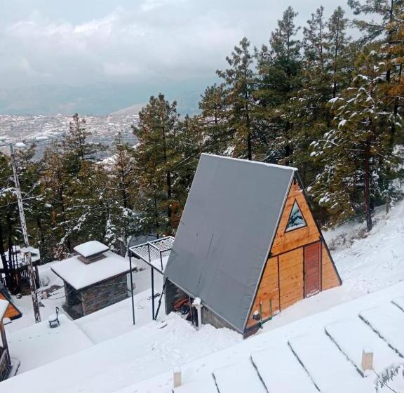 اتاق لوکس, Orange Loft, Glamp Park Murree