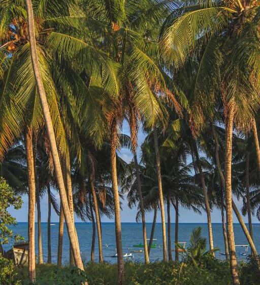 标准间带游泳池, Vila Hayô