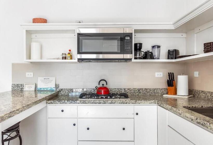 סוויטה, Jr Suite 4   Playa Arcangel