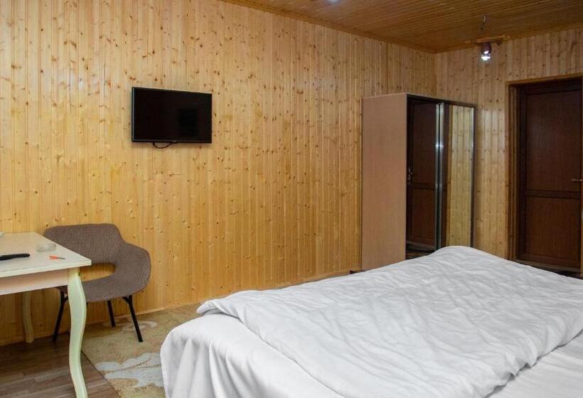 اتاق استاندارد با چشم‌انداز کوهستان, Aynur Resort