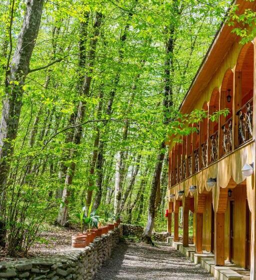 اتاق استاندارد با چشم‌انداز کوهستان, Aynur Resort