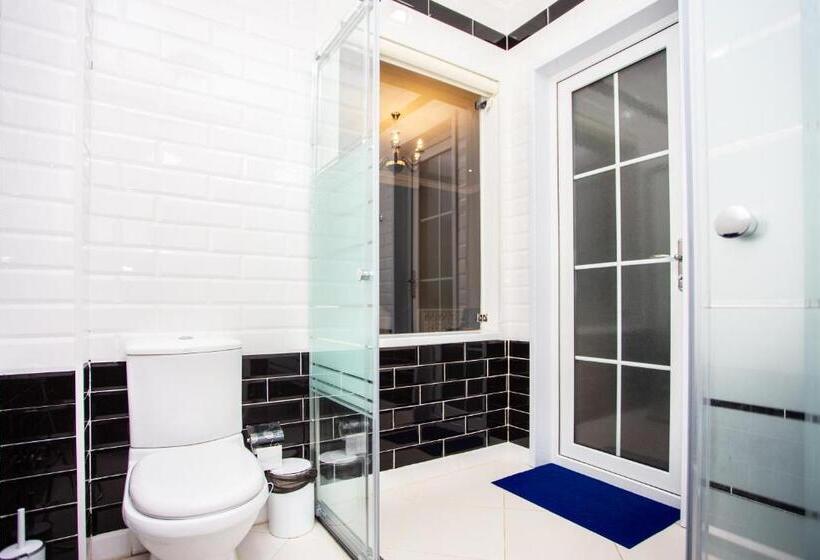 اتاق لوکس, Aynur Resort