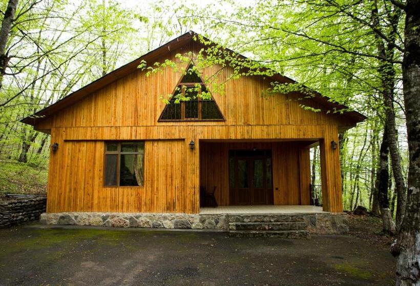 ویلای 3 خوابه, Aynur Resort