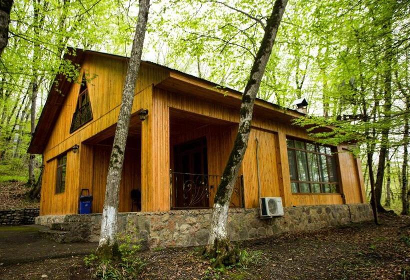 ویلای 3 خوابه, Aynur Resort