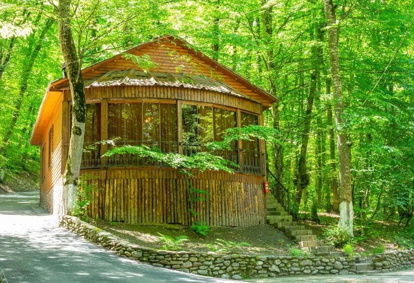ویلای لوکس 1 خوابه, Aynur Resort