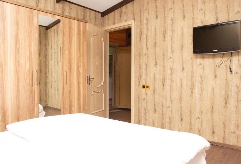 ویلای لوکس 1 خوابه, Aynur Resort