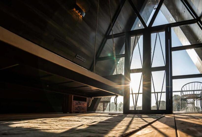 Quarto Estandar, Sunflower Saga