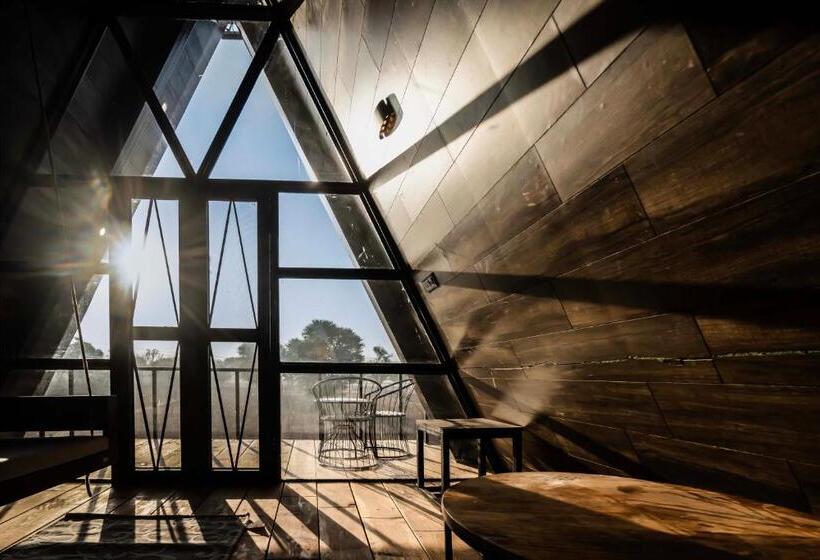 Quarto Estandar, Sunflower Saga