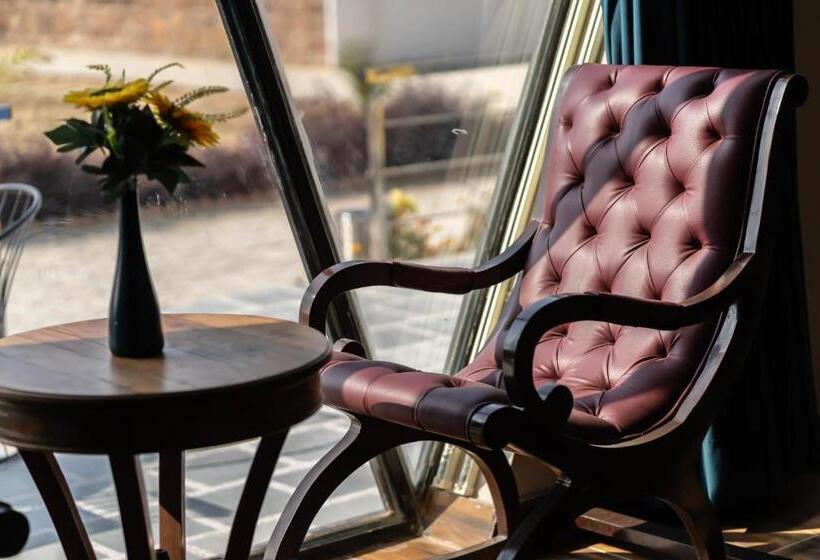 Quarto Estandar, Sunflower Saga