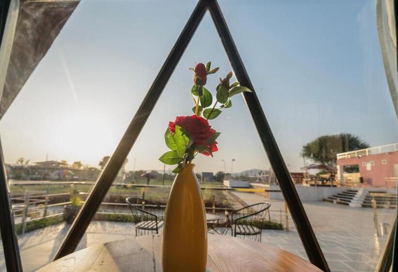 Quarto Estandar, Sunflower Saga