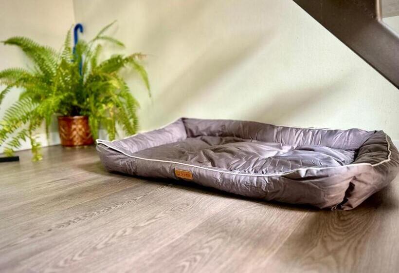 سوییت, Altidude