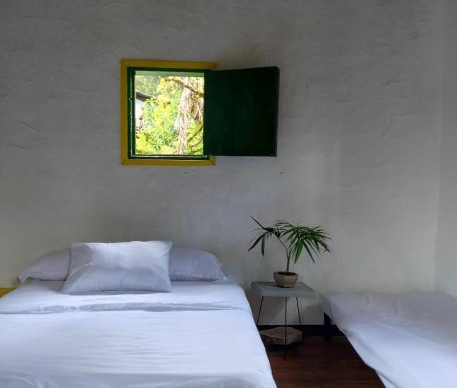 スタンダード４人部屋, Bosque De Niebla