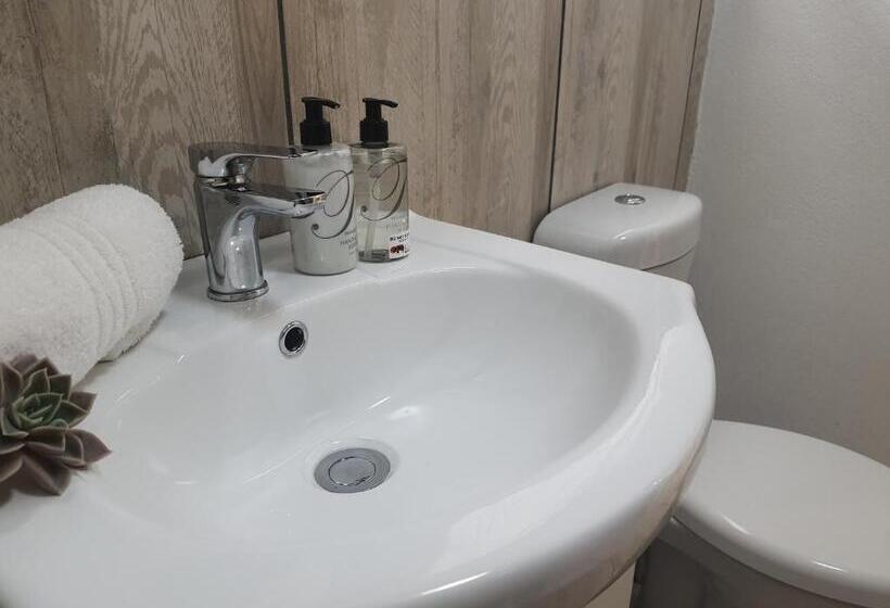 スタンダードトリプルルーム, Rhino Manor