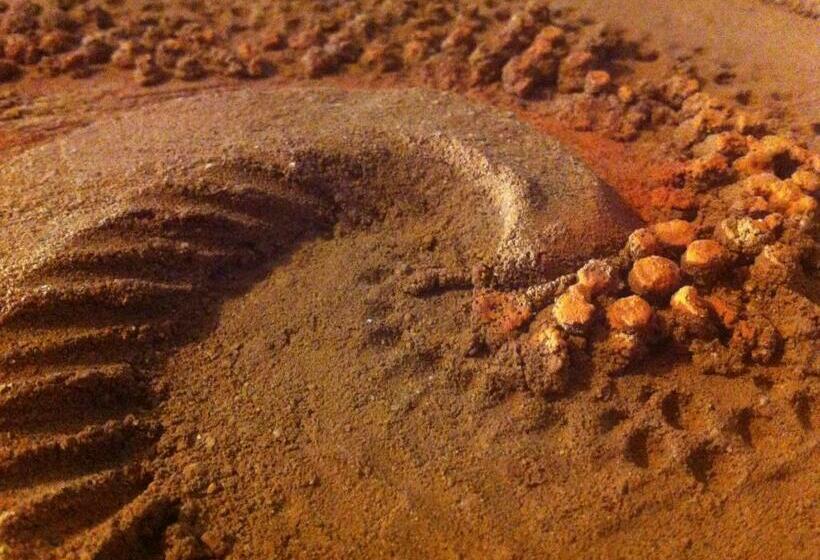 スイート, B&b Terre Di Bea