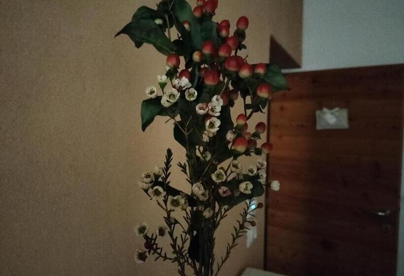 スイート, B&b Terre Di Bea