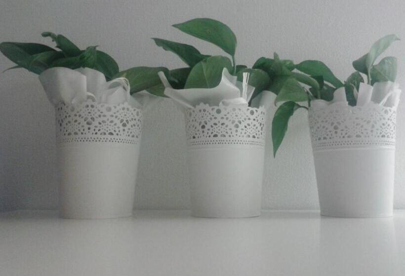 エクゼクティブスイート, B&b Terre Di Bea