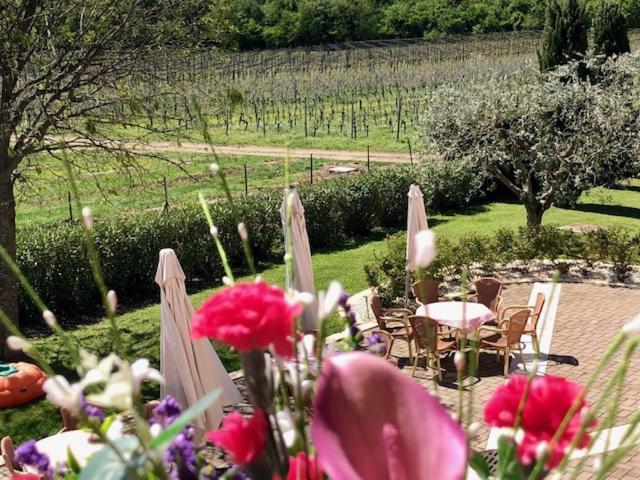 ファミリールーム, Cà Vettor