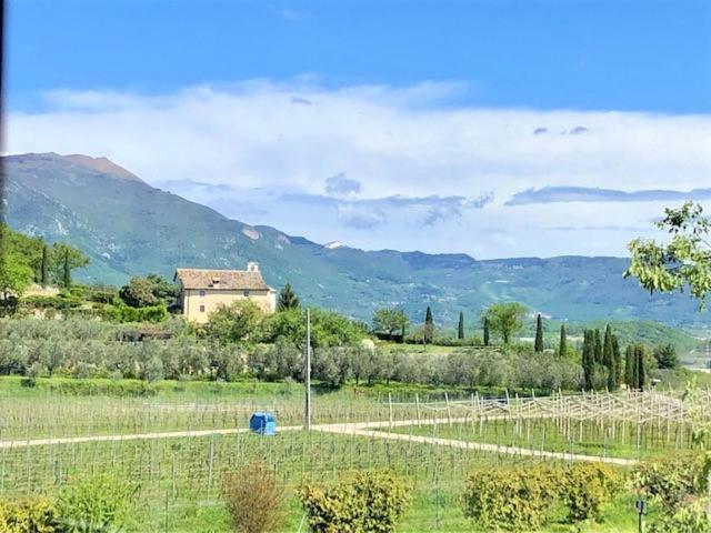 スタンダードルーム, Cà Vettor