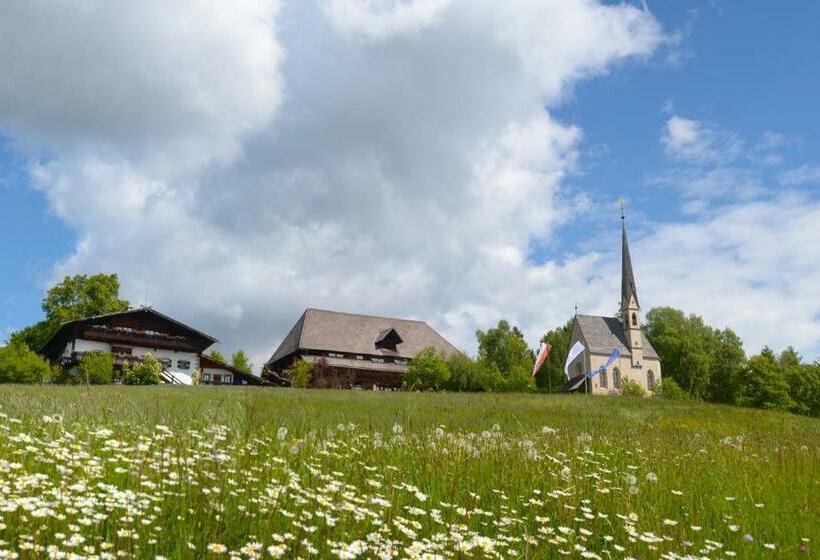 标准单人间, Ansitz Kematen S