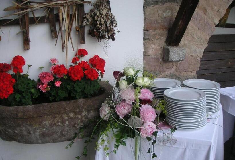 标准间带阳台, Ansitz Kematen S