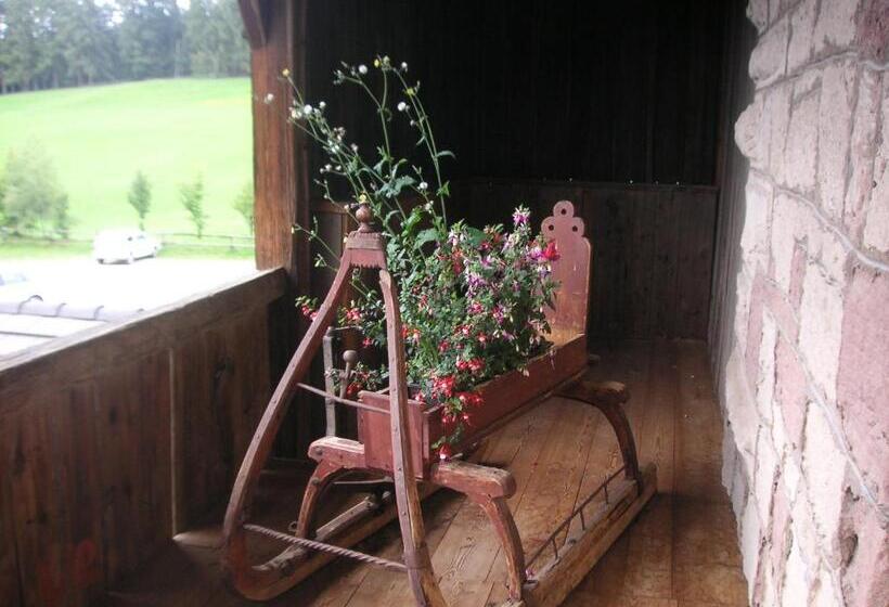 标准间, Ansitz Kematen S