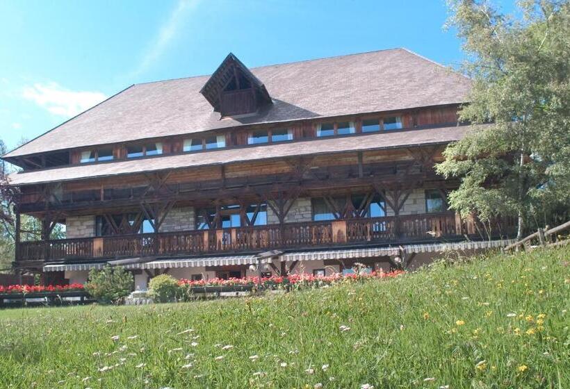 带阳台的豪华间, Ansitz Kematen S