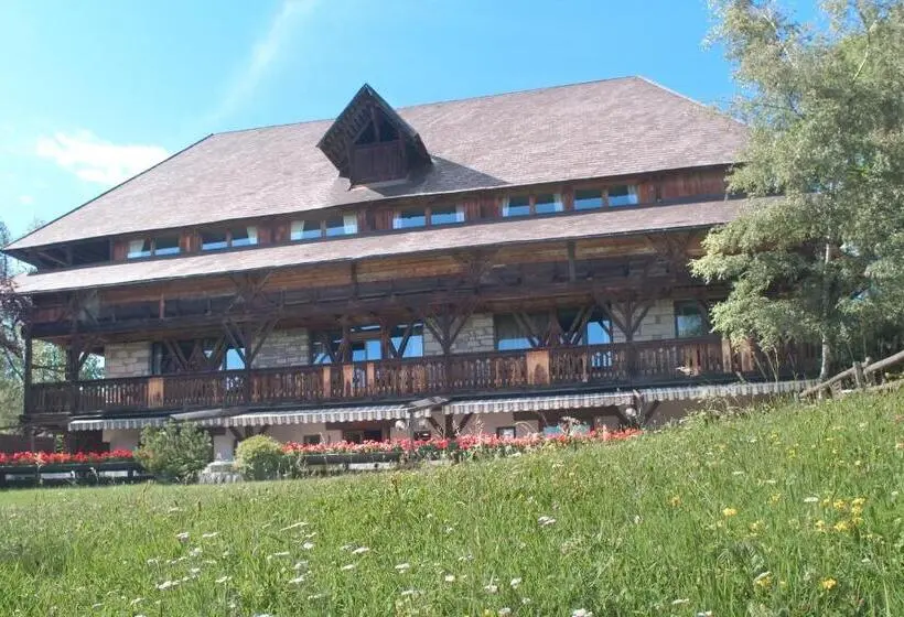Deluxe-huone Parveke, Ansitz Kematen S