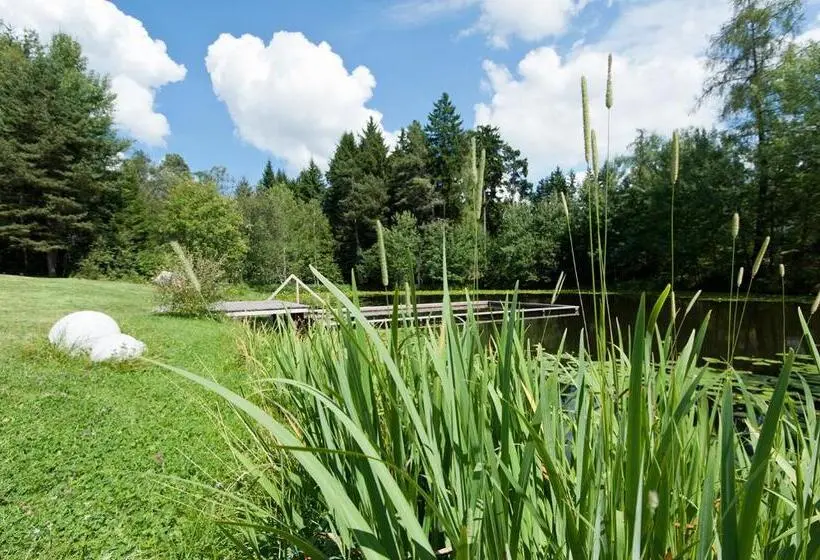 Deluxe-huone Parveke, Ansitz Kematen S