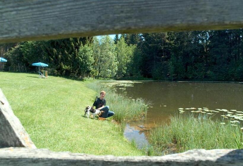 标准间带湖景, Ansitz Kematen S