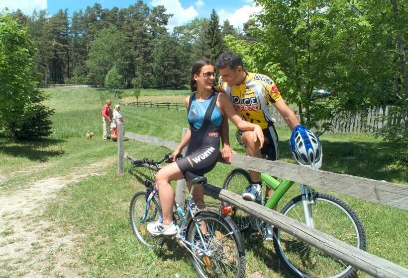 标准间带湖景, Ansitz Kematen S