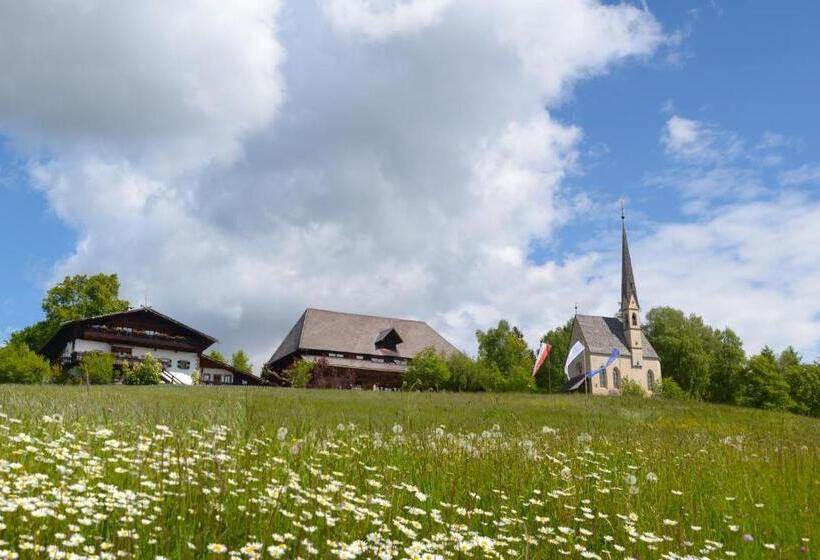 标准间, Ansitz Kematen S