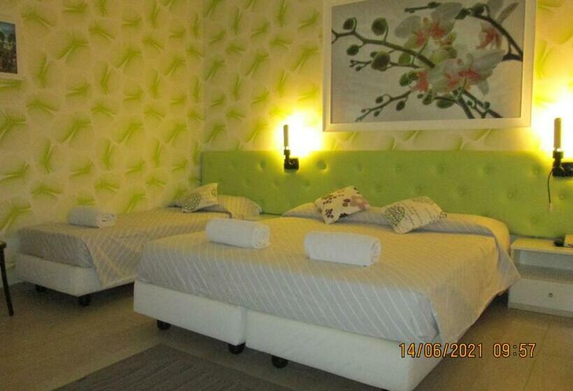 스탠다드 룸, Tropical