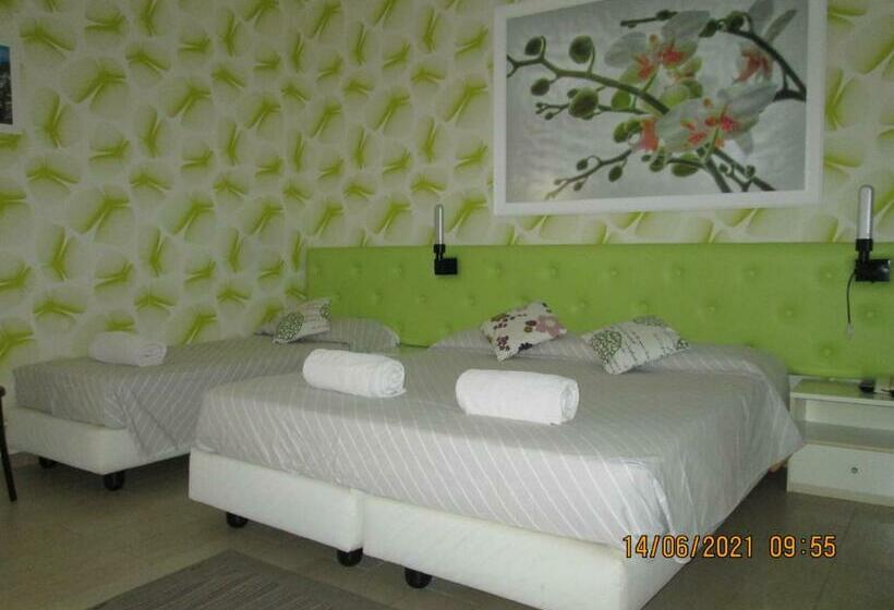 스탠다드 룸, Tropical